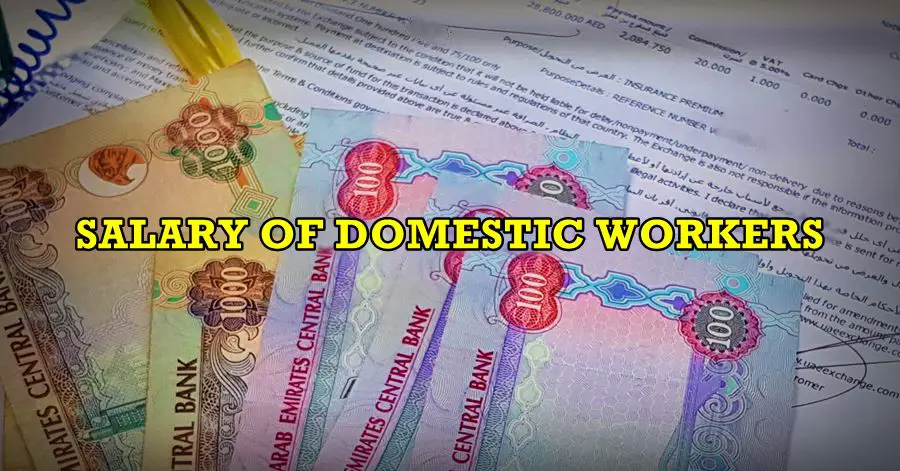 salary of domestic workers uae