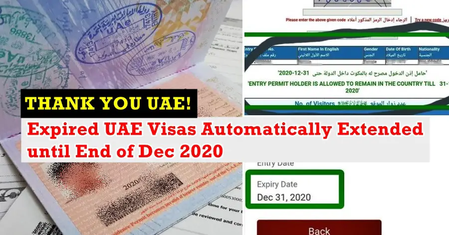 expired uae visa amnesty extension