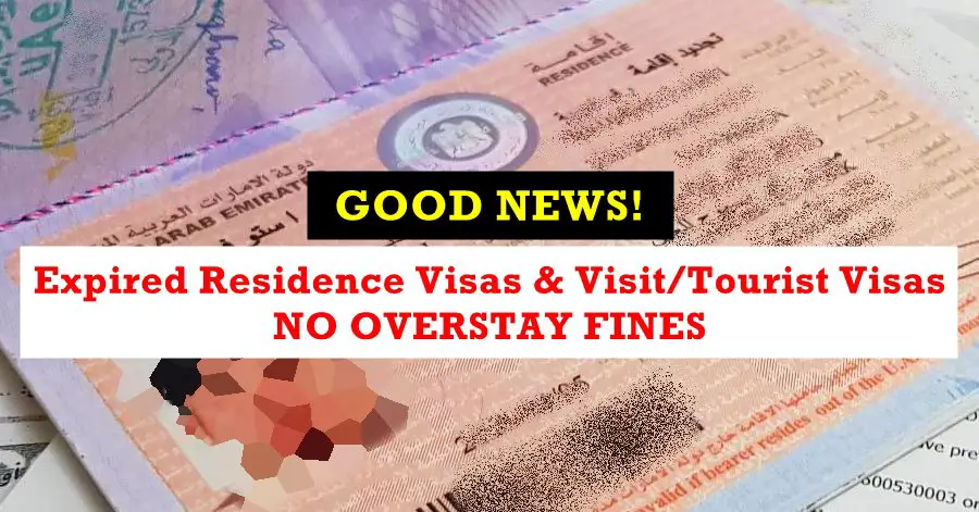 uae no overstay fines for 3 months
