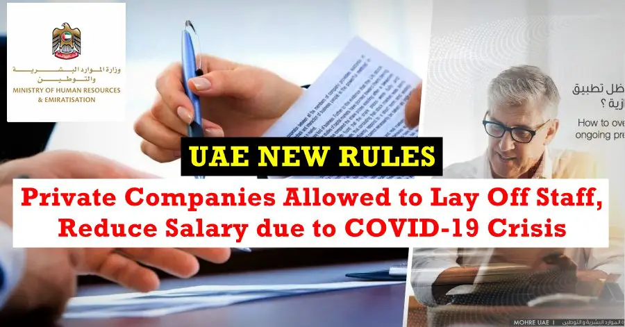 uae private companies to reevaluate employee job contracts