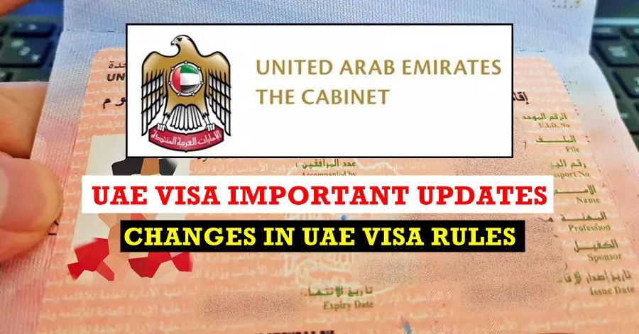 uae announce visa expiry updates